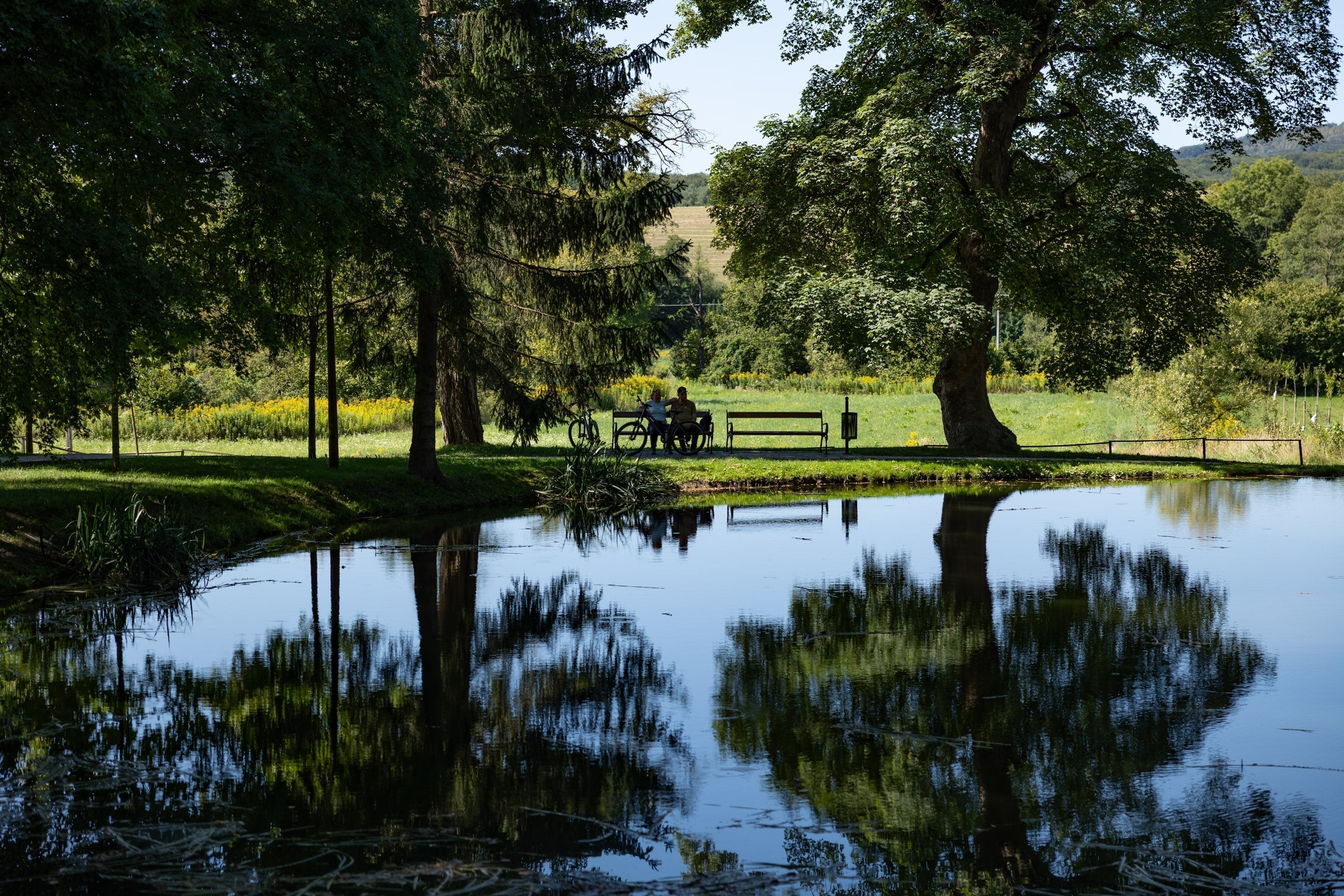 Cyclists resting on the shore of a shady lake