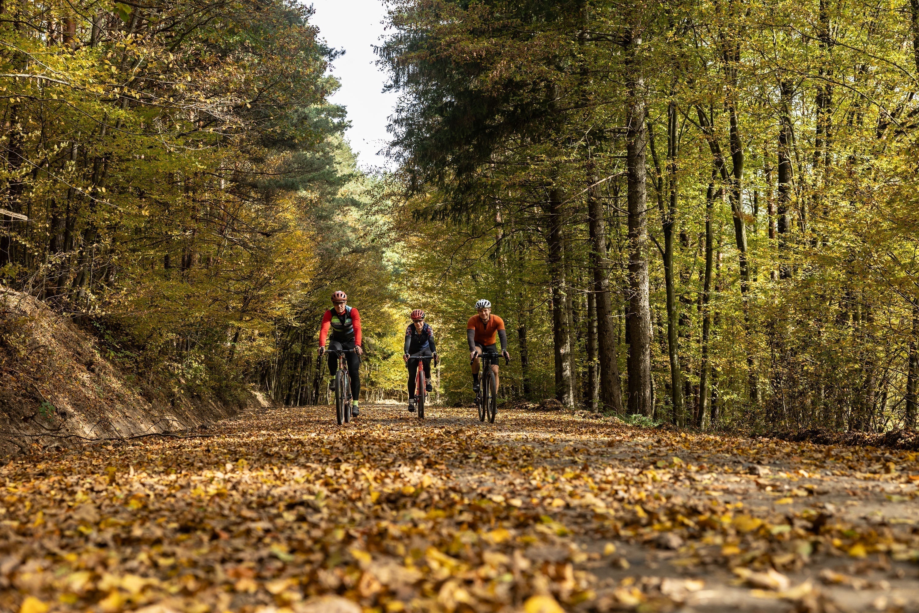 Tour Horizont regions: Őrség